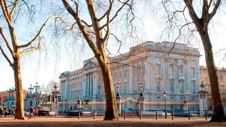 buckingham palace guided tour review