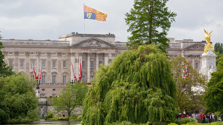 buckingham palace guided tour review