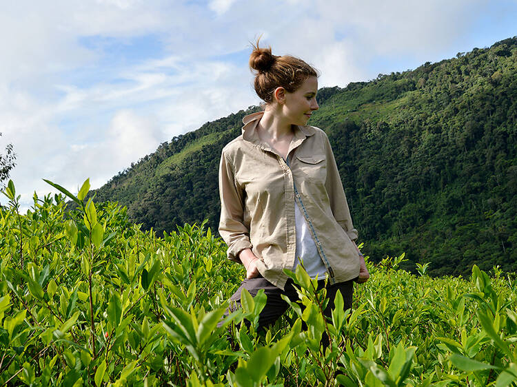 Cocaine Capital of the World: Stacey Dooley Investigates
