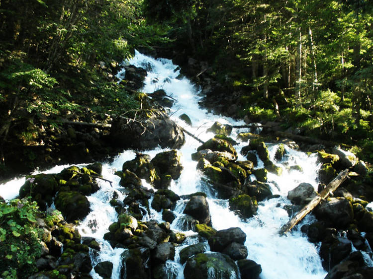 Los Pirineos Occidentales