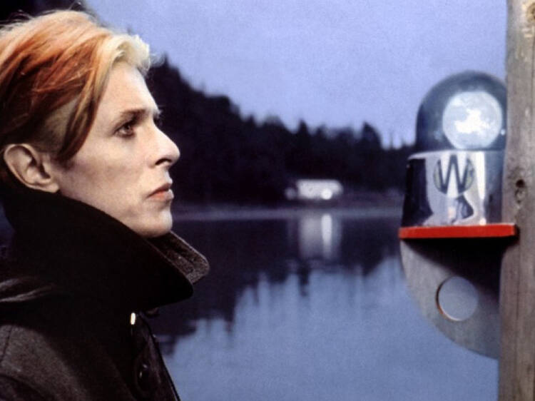 The Man Who Fell to Earth