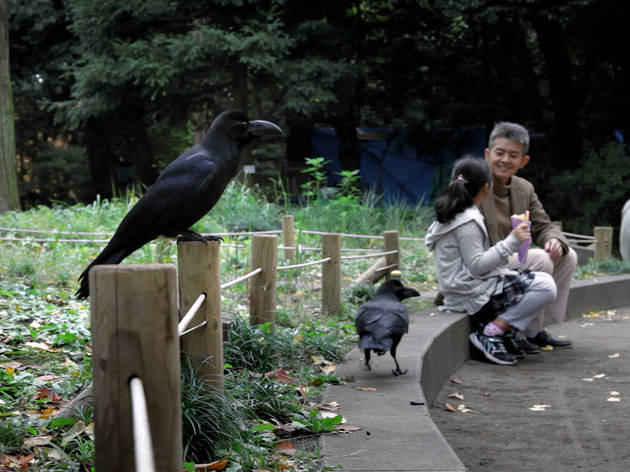 Tokyo Waka: A City Poem: movie review Tokyo Waka: A City Poem: movie review