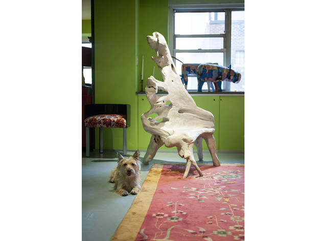 (Photograph: Virginia Rollison)