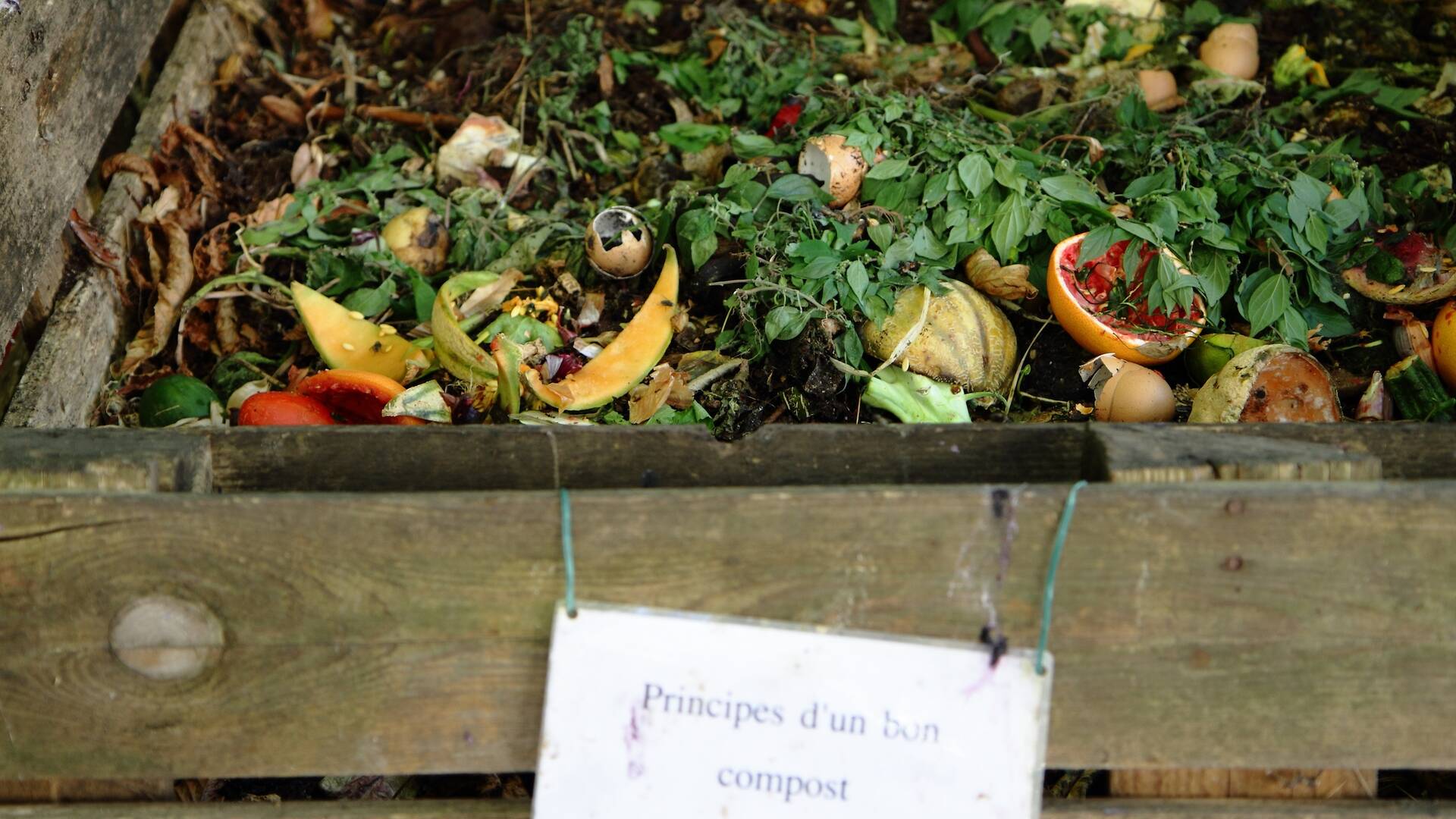 Secret Paris walks – Photos from hidden corners of the city – Time Out ...