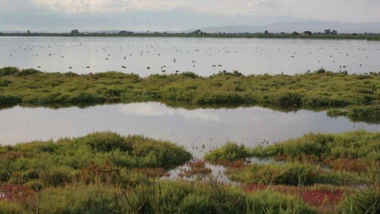 Degustació per la badia dels Alfacs