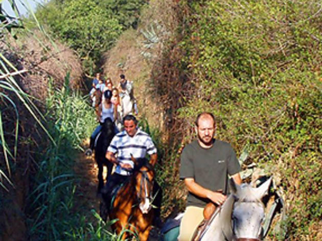 Hípica Sant Joan Hípica Sant Joan