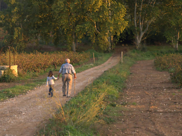 Passejada Subirats Passejada Subirats