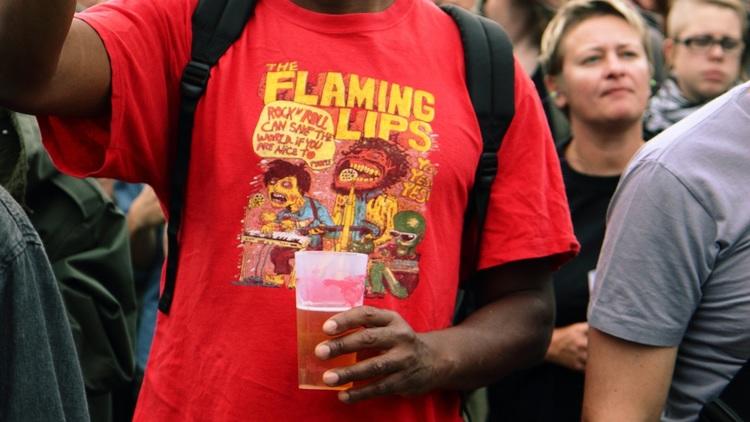 Rock en Seine (© Emmanuel Chirache)