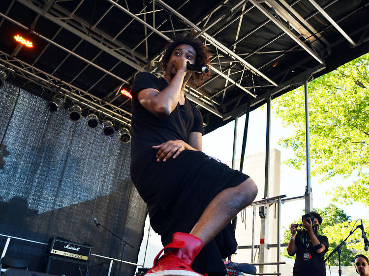 Danny Brown performs at the 2013 Afro-Punk Fest in Brooklyn's Commodore Barry Park on August 25, 2013.