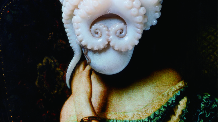 Yuniko Utsu ('Octopus Portrait', 2009)