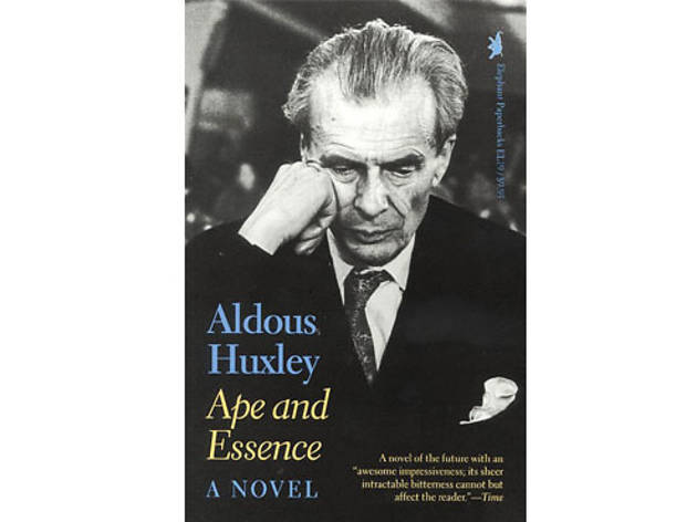 (Photograph: Courtesy Amazon)