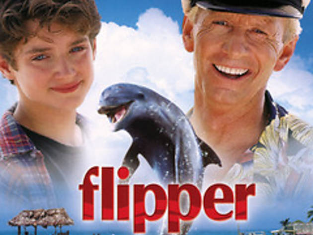 Flipper Flipper