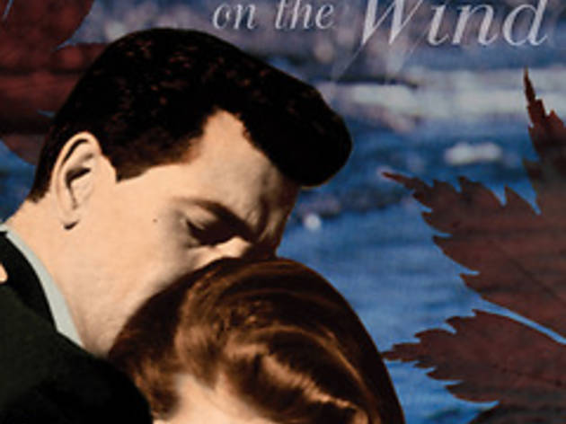 Written on the Wind Written on the Wind