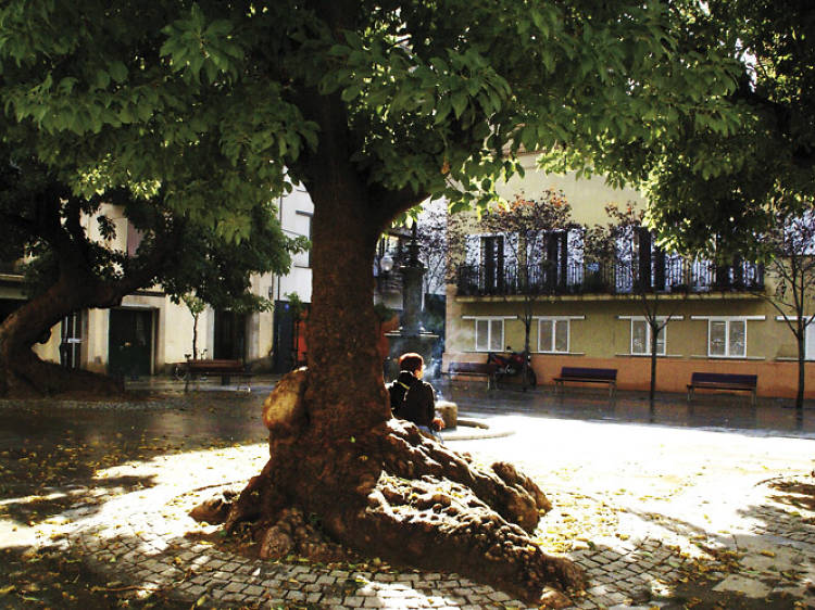 Pequeña plaza marinera