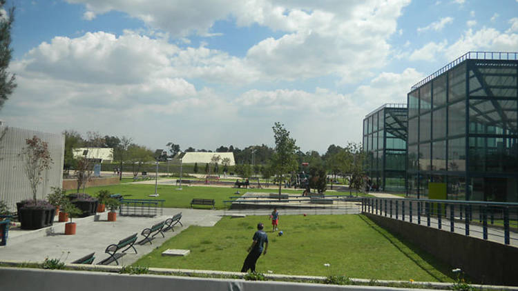 Parque Bicentenario