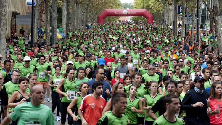 INVASIÓN DE RUNNERS