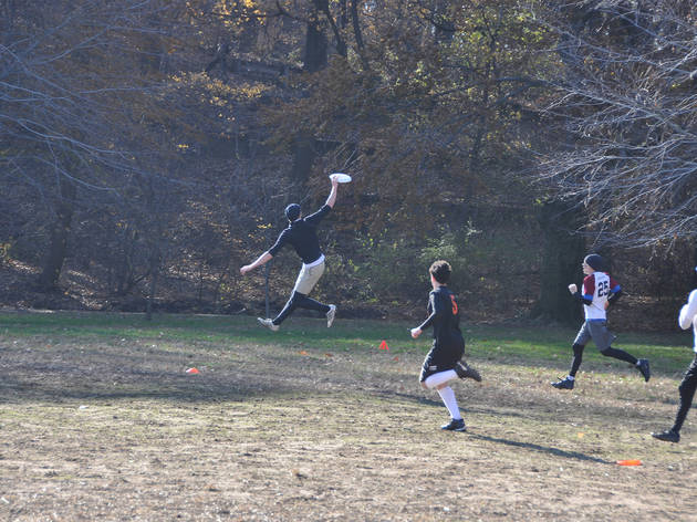 Manhattan Ultimate Disc Manhattan Ultimate Disc