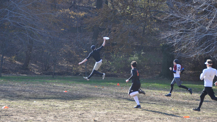 Ultimate Frisbee 