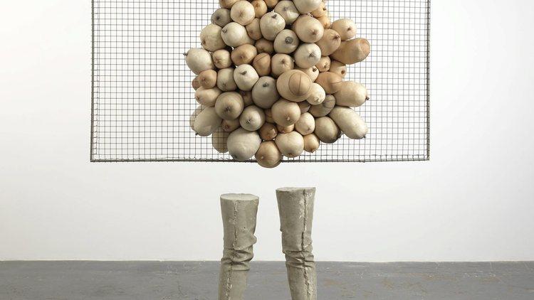 Free exhibitions