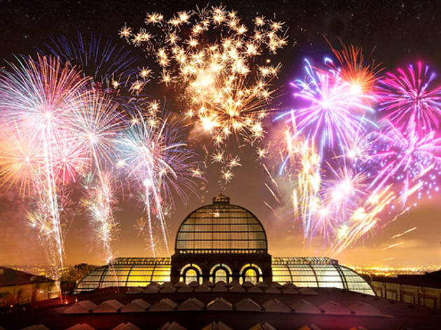 <p>Ally Pally Fireworks Festival</p>