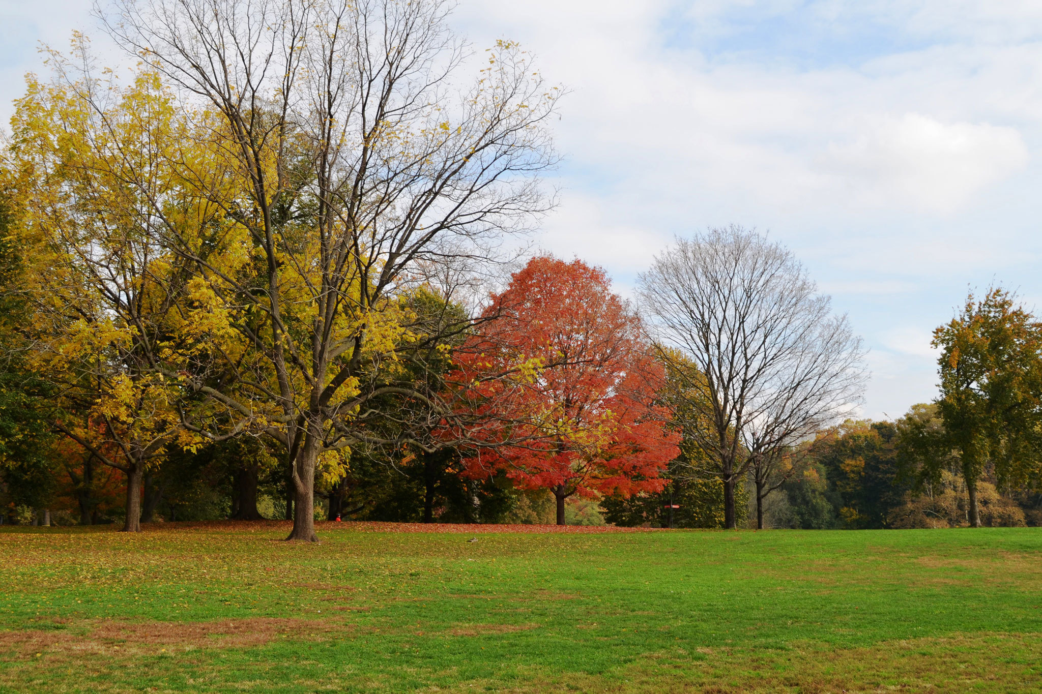 Best haunted houses for kids, plus haunted walks in NYC