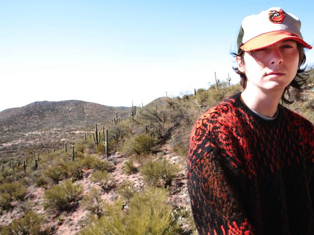Panda Bear Panda Bear