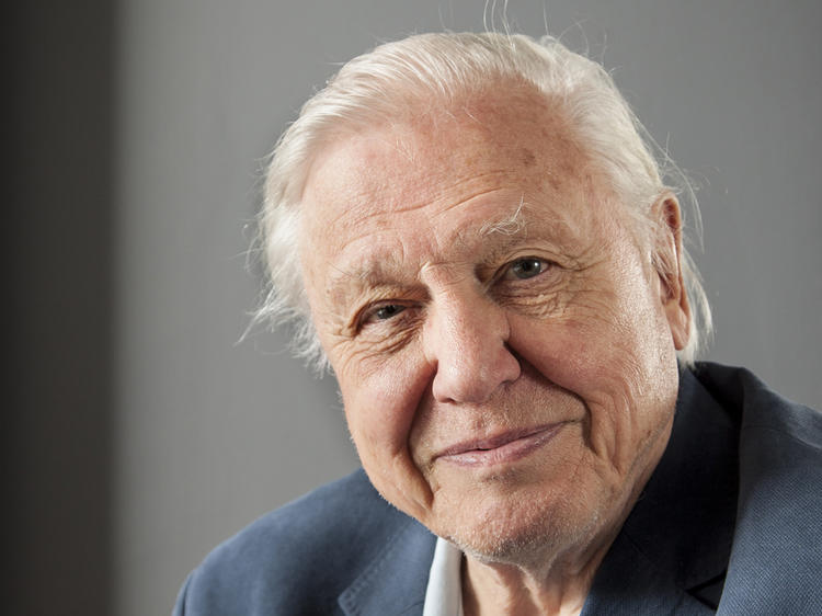 David Attenborough