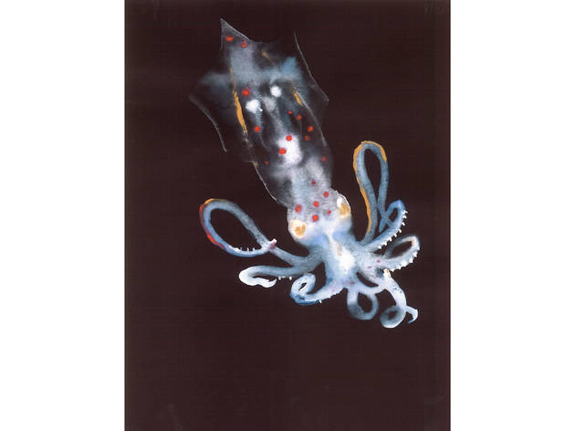 (Photograph: Courtesy of the artist and the Drawing Center)