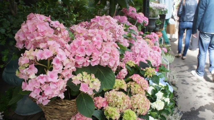 Marché aux fleurs et aux oiseaux