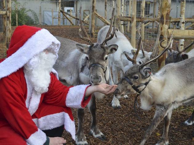 London Zoo Christmas Grotto, Press Image, 2013 London Zoo Christmas Grotto, Press Image, 2013