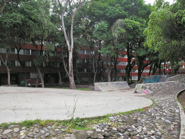 Jardín Médicos por la Paz Jardín Médicos por la Paz