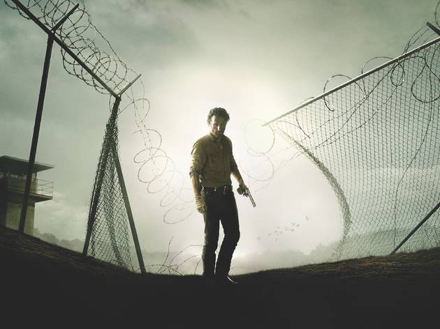 the walking dead the walking dead