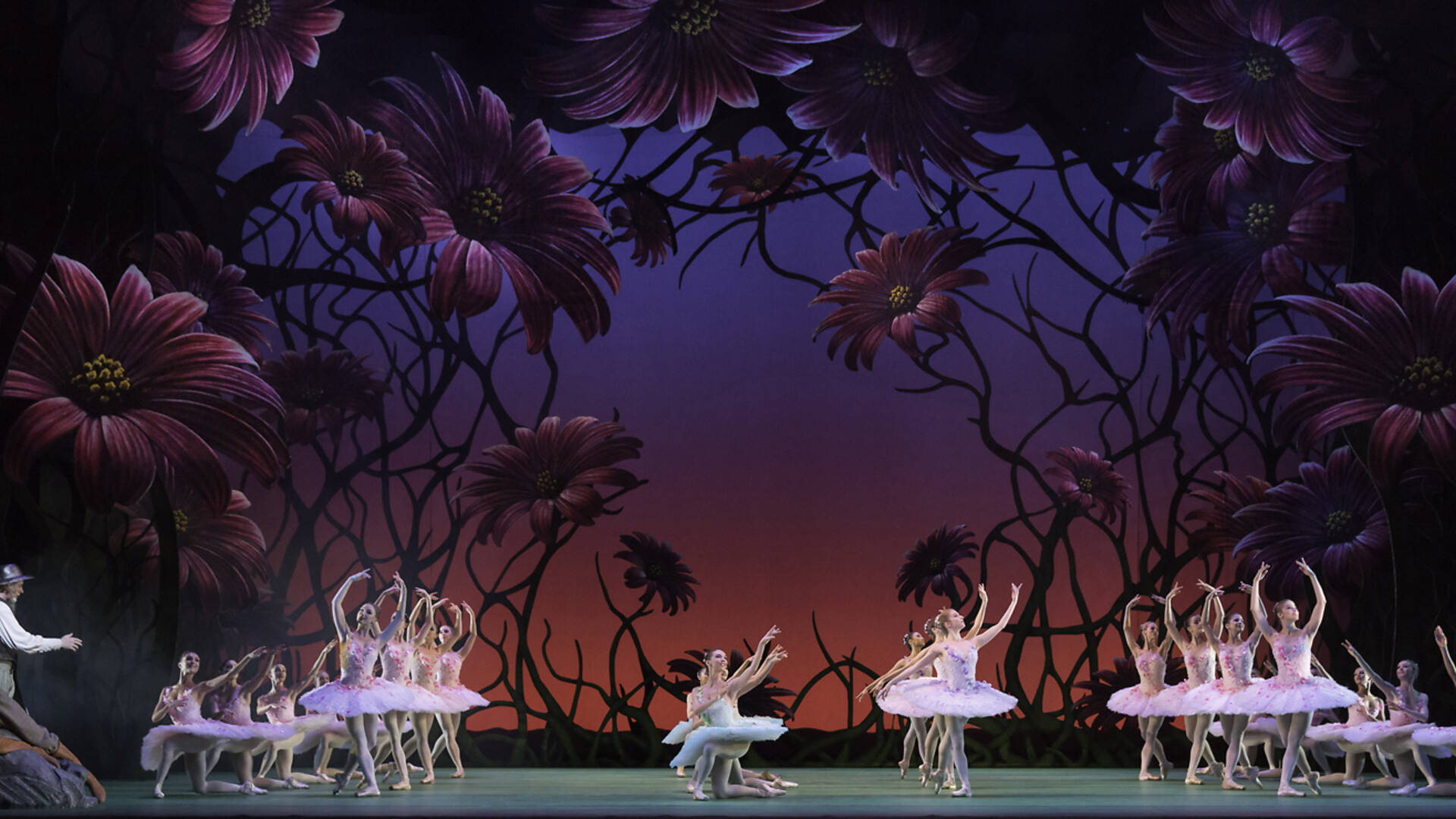 Don Quixote Review: Carlos Acosta’s Revived 2013 Ballet Is A Thing Of ...