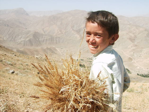 Mir farming_August 2006.JPG Mir farming_August 2006.JPG