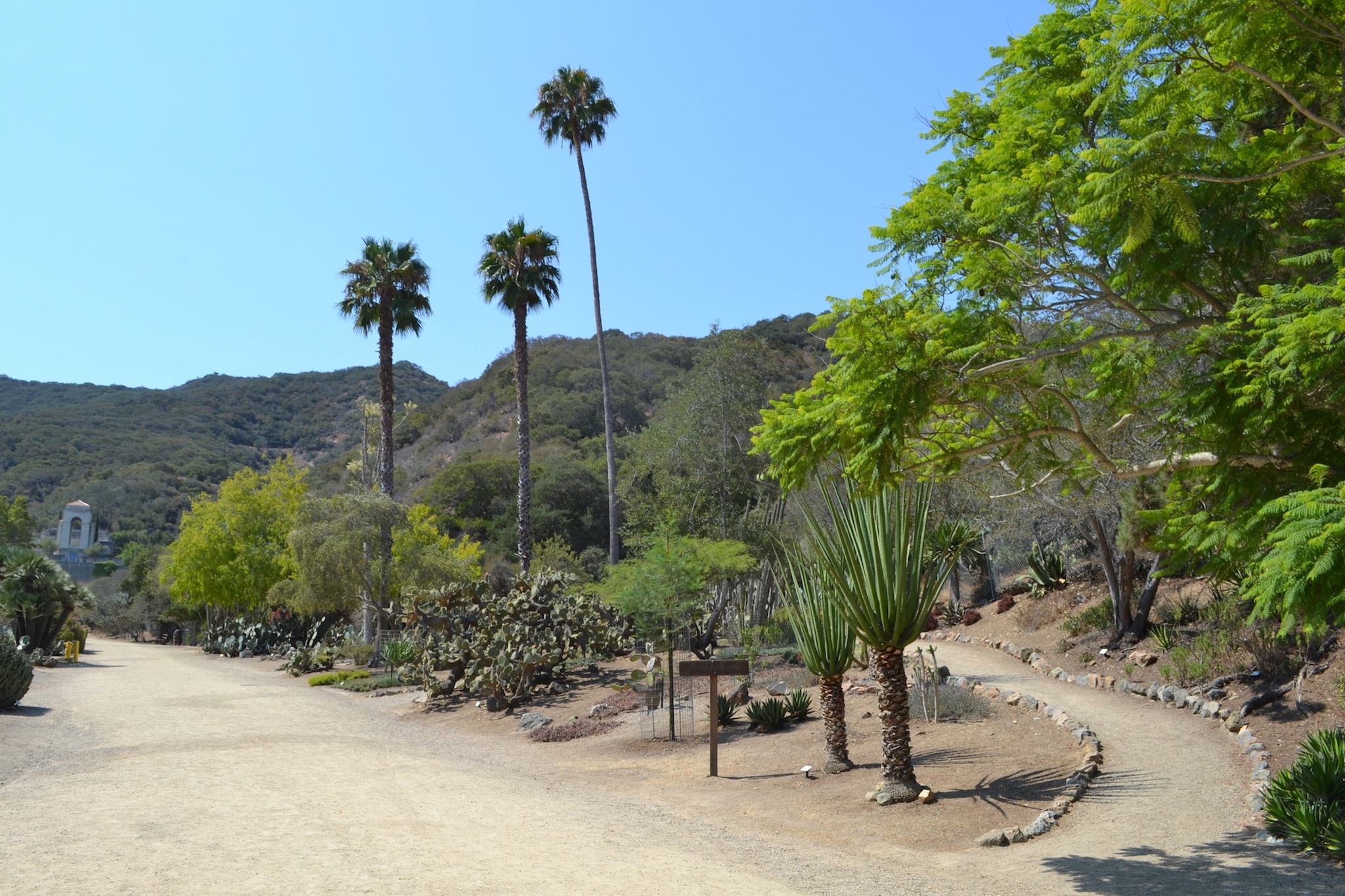 Wrigley Memorial And Botanical Garden Attractions In Catalina
