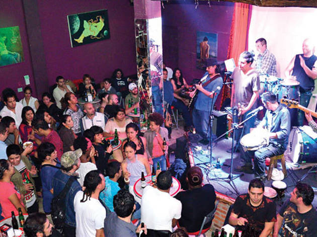 Cactux, Multiforo Cultural Cactux, Multiforo Cultural