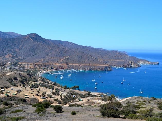 Catalina S Two Harbors How To Explore The Remote Island Town