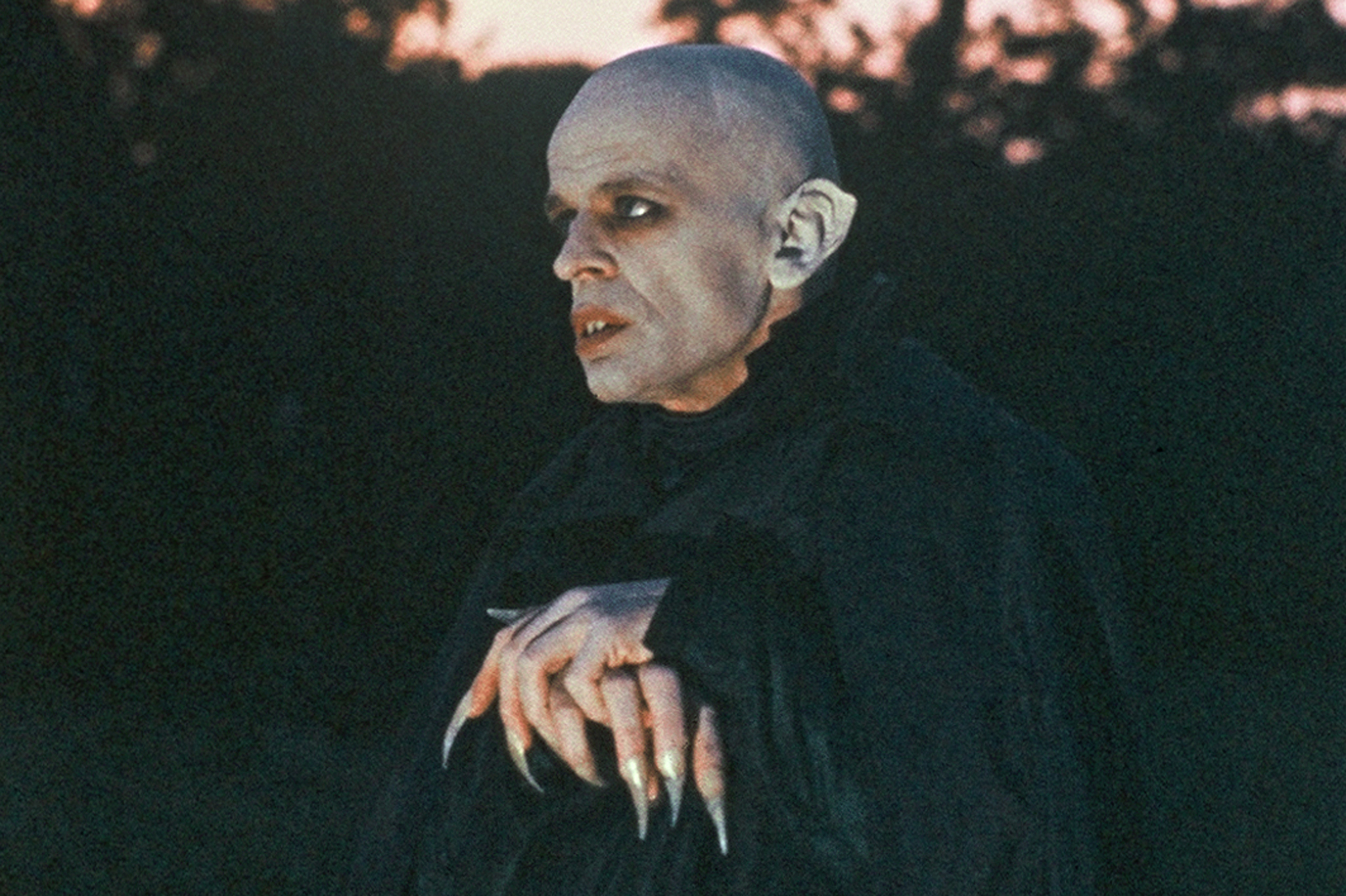 Nosferatu the Vampyre 1979, directed by Werner Herzog Film review