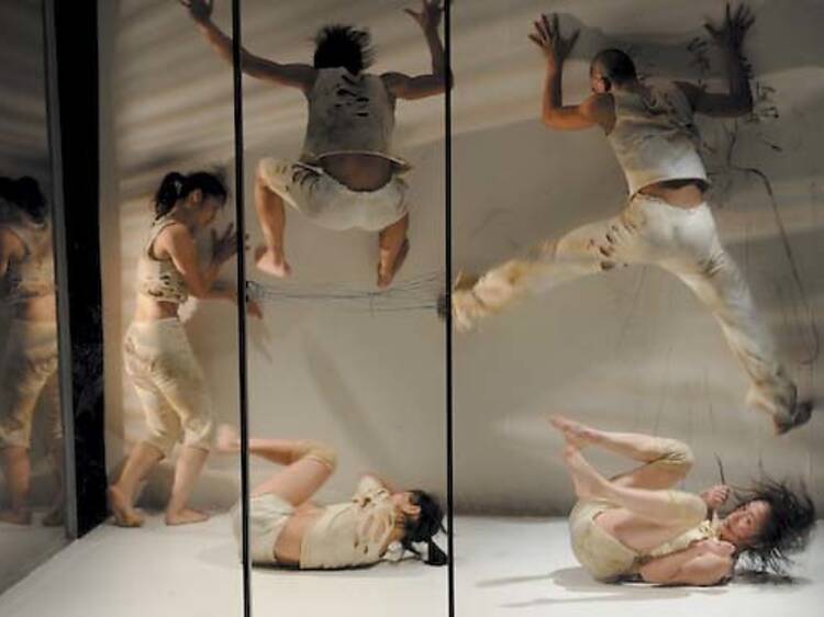 383.da.da.op.wcdance.jpg