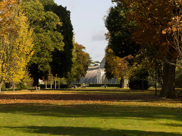 Kew Gardens Kew Gardens