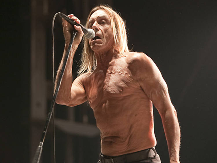 Iggy Pop