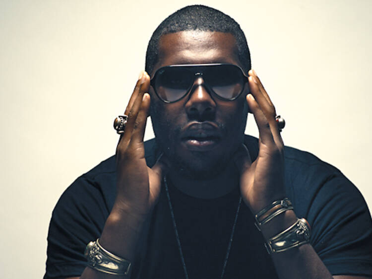 398.cl.nl.rv.flyinglotus.jpg