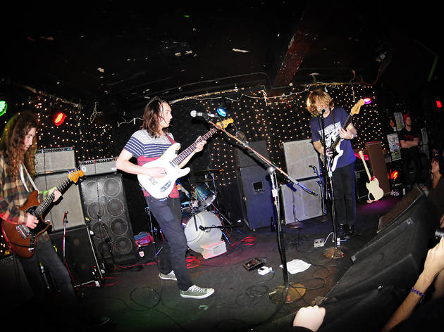 (Photograph: Jeff Kroll)