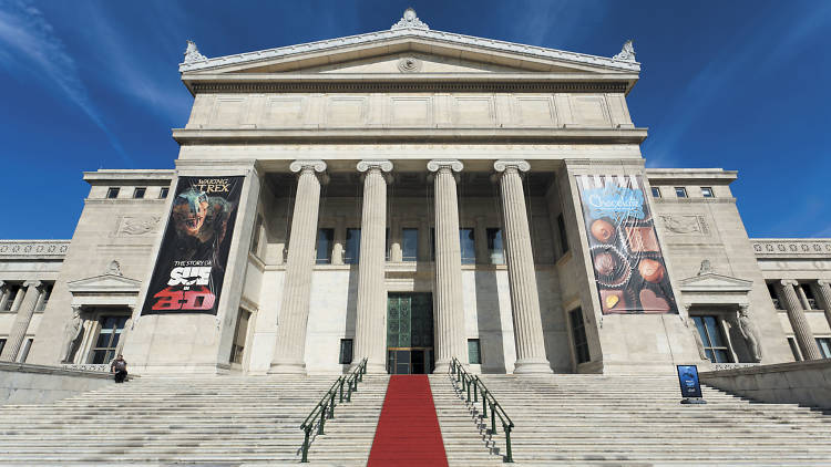 10 best Chicago museums