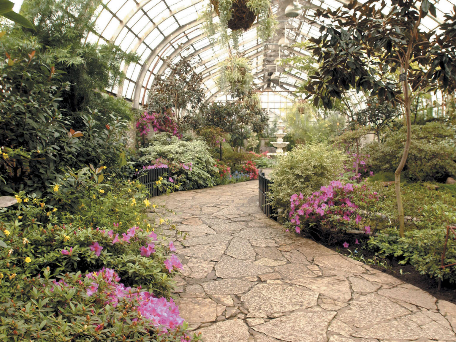 Your guide to viewing spring flowers in Chicago