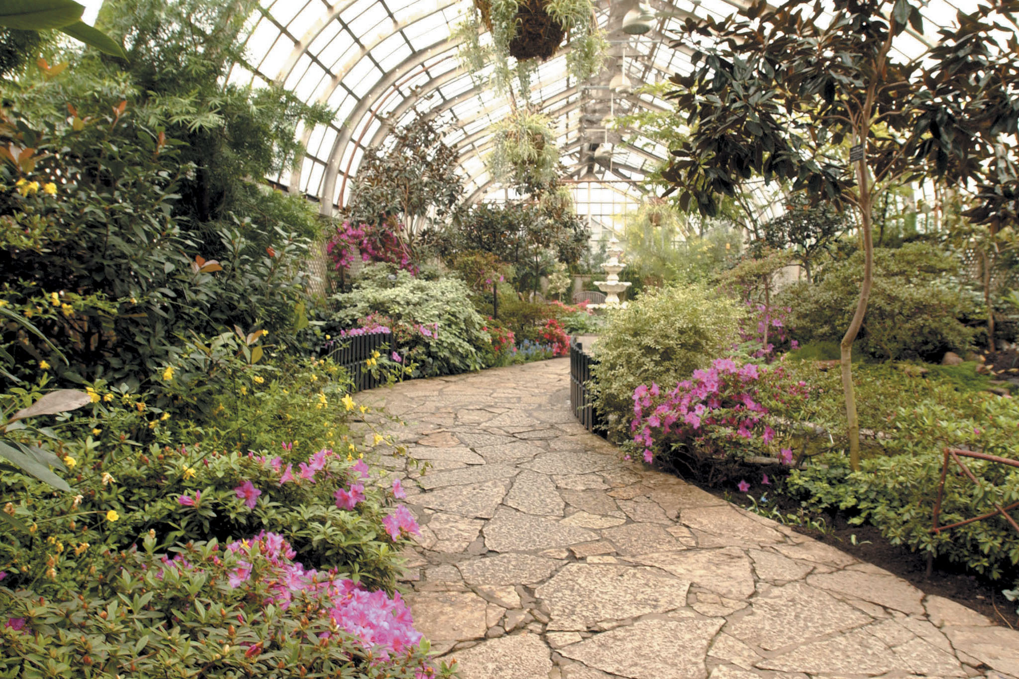 Lincoln Park Conservatory - What To Know BEFORE You Go