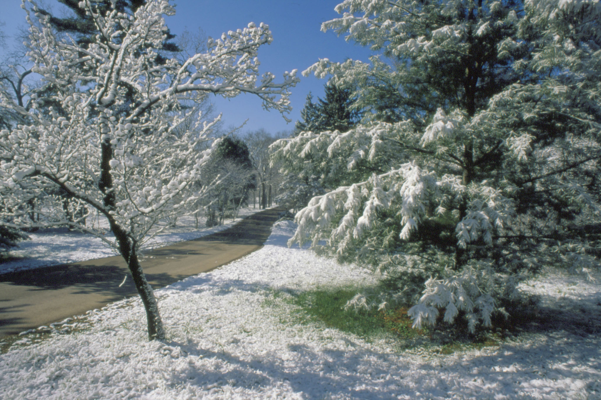 Winter activities for kids and families in Chicago