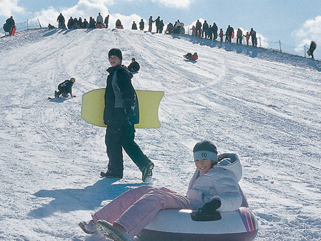 Sledding Hill at Soldier Field | Sports and fitness in Museum Campus