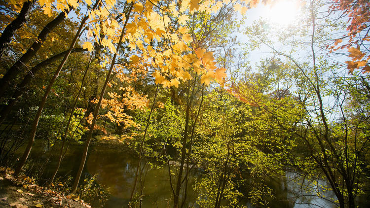 BunkerHillForestPreserve.Venue.jpg