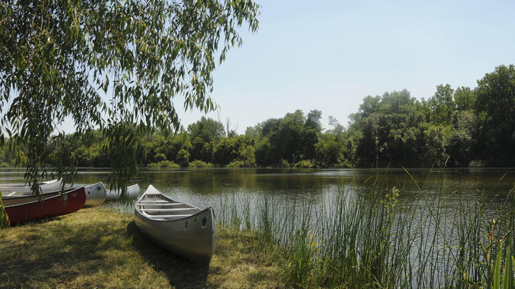 BeaubienWoodsForestPreserve.venue01.jpg